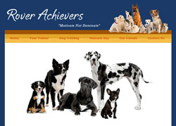 Rover Achievers